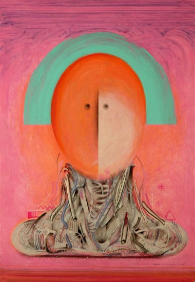 Sol de carne